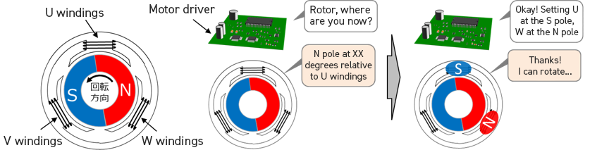 What Reference is Used for the Rotor Position?