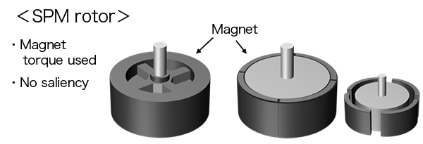 Surface permanent magnet rotors and interior permanent magnet rotors